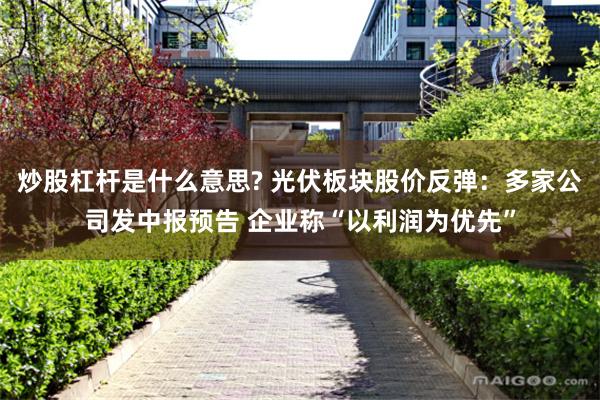 炒股杠杆是什么意思? 光伏板块股价反弹：多家公司发中报预告 企业称“以利润为优先”