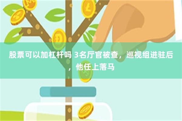 股票可以加杠杆吗 3名厅官被查，巡视组进驻后，他任上落马