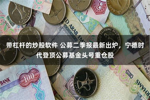 带杠杆的炒股软件 公募二季报最新出炉，宁德时代登顶公募基金头号重仓股