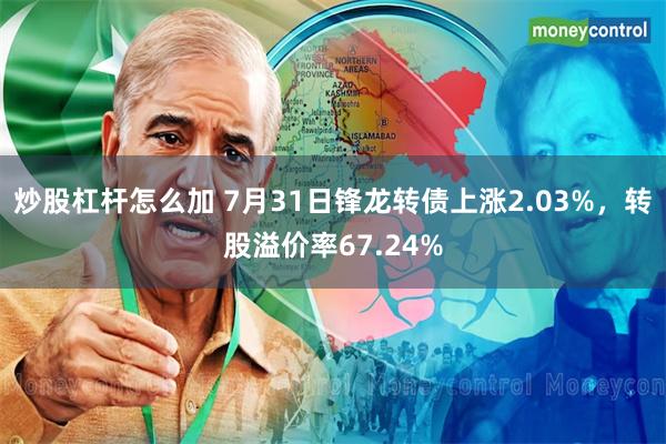 炒股杠杆怎么加 7月31日锋龙转债上涨2.03%，转股溢价率67.24%