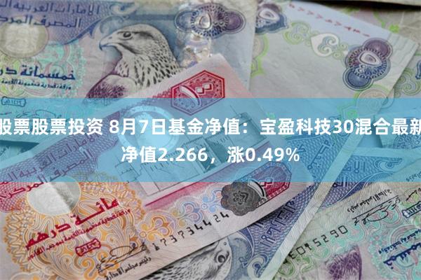 股票股票投资 8月7日基金净值：宝盈科技30混合最新净值2.266，涨0.49%