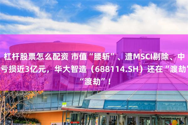 杠杆股票怎么配资 市值“腰斩”、遭MSCI剔除、中期亏损近3亿元，华大智造（688114.SH）还在“渡劫”！