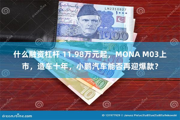 什么融资杠杆 11.98万元起，MONA M03上市，造车十年，小鹏汽车能否再迎爆款？