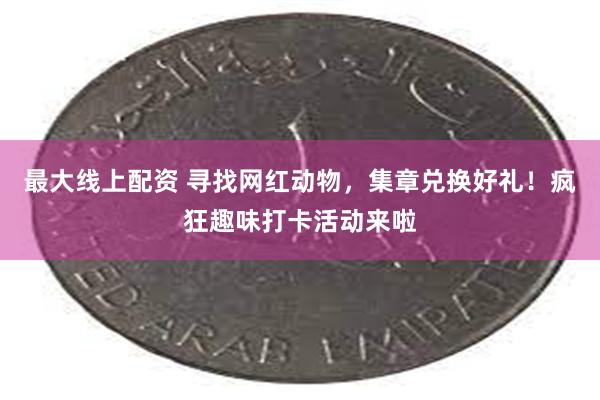 最大线上配资 寻找网红动物，集章兑换好礼！疯狂趣味打卡活动来啦