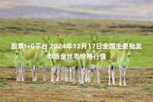 股票t+0平台 2024年12月17日全国主要批发市场金丝枣价格行情