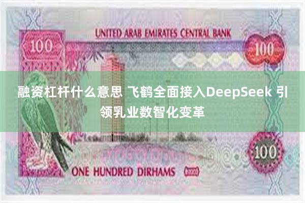 融资杠杆什么意思 飞鹤全面接入DeepSeek 引领乳业数智化变革