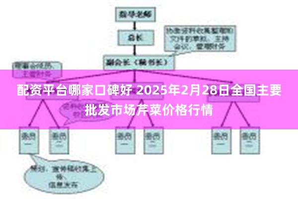 配资平台哪家口碑好 2025年2月28日全国主要批发市场芹菜价格行情