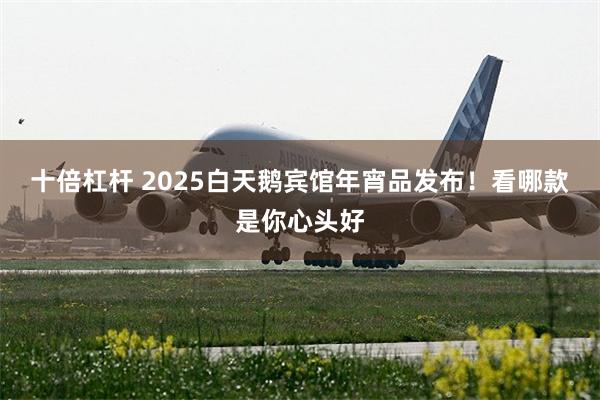 十倍杠杆 2025白天鹅宾馆年宵品发布！看哪款是你心头好