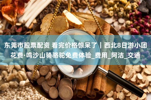东莞市股票配资 看完价格惊呆了｜西北8日游小团花费·鸣沙山骑骆驼免费体验_费用_阿洁_交通